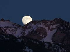 
      
      The next full moon is a 'supermoon' pink moon
      
      