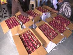 
      
      Apple prices down in Himachal on weak demand, high supply
      
      