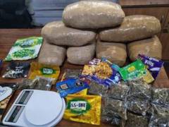 
      
      120 kg ganja, 2 liters hashish oil seized from four drug...
      
      