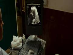 
      
      No prenatal sex-determination scene in films without disclaimer
      
      