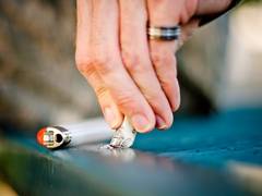 
      
      Smoky environment increase risk of high blood pressure: Study
      
      