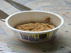 
      
      Study reveals soy products reduce mortality risk from various...
      
      