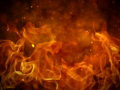 
      
      Delhi: Fire breaks out at Shastri Bhawan
      
      