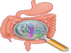 
      
      Study reveals people with inflammatory bowel disease die...
      
      