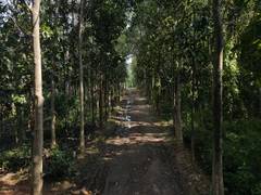 
      
      'Adani Foundation planted over 11 lakh saplings in Chhattisgarh'
      
      