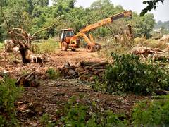 
      
      SC restrains Maharashtra govt, MMRDA for 2 weeks from felling...
      
      
