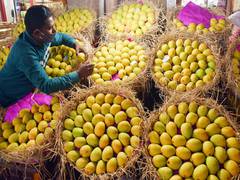 
      
      Mango supply dips in Telangana, customers discontented 
      
      