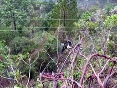 
      
      U'khand accident: IAF aircraft to take bodies of pilgrims to MP
      
      