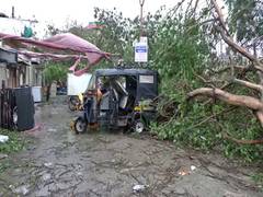 
      
      Trees uprooted, hoardings fall as Biparajoy makes landfall
      
      