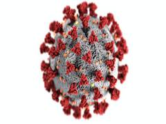 
      
      Pandemic may have led to health inequalities among ethnic groups
      
      