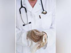 
      
      Scientists discover new method to effectively repair bone,...
      
      