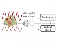 
      
      Scientists use brain wave to predict biased decisions 
      
      