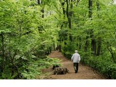 
    Study suggests regular dose of nature may improve mental health during COVID-19 pandemic
    