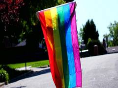
      
      Lesbian, gay, bisexual communities more at-risk for dementia,...
      
      