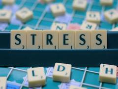 
      
      Stress too has positive effects, says study
      
      