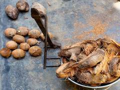 
      
      Centre declares MSP for mature dehusked coconut
      
      