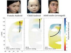 
      
      Researchers compare expressions of android and human faces
      
      