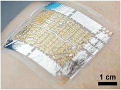 
      
      Scientists develop e-health patches to monitor pulse, blood...
      
      