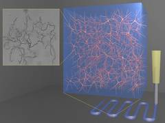 
      
      Researchers develop 3D-printed jelly 
      
      