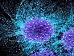 
      
      Nearly half of the brain's cells execute new functions
      
      
