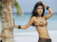 
      
      Priyanka sizzles in bikini in throwback photo from 2000
      
      