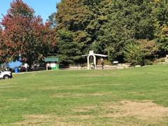 
      
      Irregularly shaped parks associated with lower mortality risk
      
      