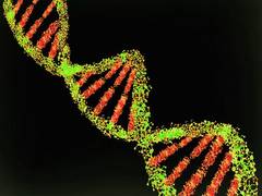 
      
      Researchers discover new tumour-driving mutations in...
      
      