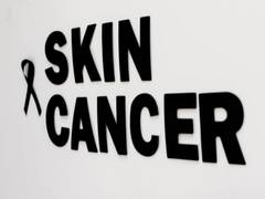 
      
      New insights into fundamental workings of immune system in...
      
      