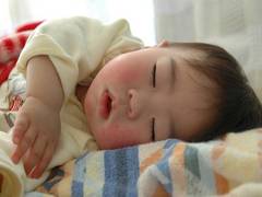 
      
      Study reveals healthy sleep linked to earthquake-like brain-wave  
      
      