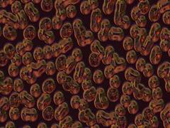 
      
      Novel process discovers how microbes harvest electrons!
      
      