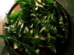 
    The many benefits of magic herb curry leaves
    