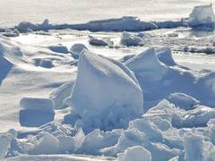 
      
      Immersion in virtual reality scenes of the Arctic helps to...
      
      
