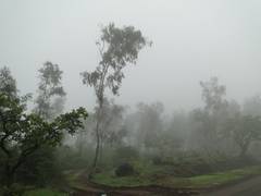 
    IMD predicts dense fog in Punjab, West Rajasthan
    