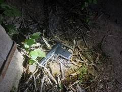 
      
      1 killed, 3 criminals arrested in encounter in Delhi
      
      