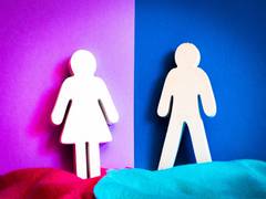 
      
      Gender bias in search algorithms has effect on users: Study
      
      