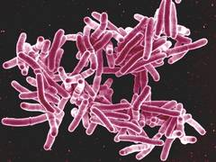 
      
      Mode of administration of vaccine may boost its potency: Study
      
      