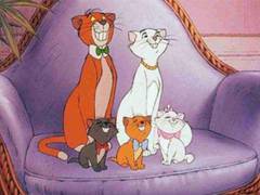 
      
      Disney developing live-action movie 'Aristocats'
      
      