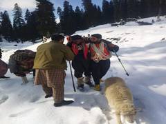 
      
      J-K: Missing villagers of Rajouri traced in Shopian
      
      