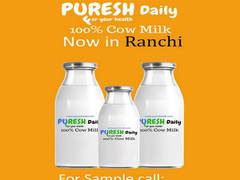 
      
      Milk startup Puresh Daily raises Rs 1.2 crore in seed round
      
      