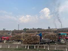 
      
      UP: Mawana sugarcane farmers hail Yogi govt for fast payment...
      
      