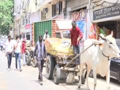 
      
      Chandni Chowk traders in Delhi use bullock carts to supply...
      
      