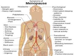 
      
      Blood test to predict menopause with better accuracy 
      
      
