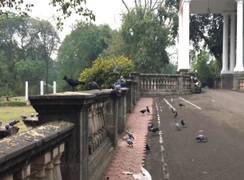 
      
      Bird flu confirmed in Indore, says health official
      
      
