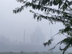 
      
      UP: Thick layer of fog envelopes Agra, Mathura; visibility affect
      
      