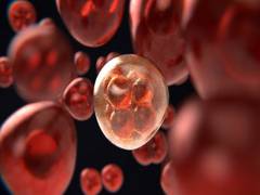 
      
      Study: Childhood cancer discovery may stop tumour spread...
      
      
