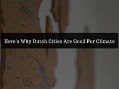
      
      Here's why Dutch cities are good for climate
      
      