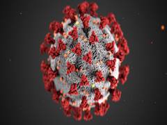 
      
      Study sheds light on the longevity of immune response to COVID-19
      
      