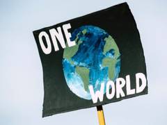 
      
      'Blue food revolution' can help tackle climate change,...
      
      