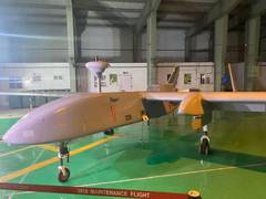 
      
      IAF's 'Project Cheetah' to be awarded to Indian firms
      
      