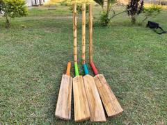 
      
      Tripura develops country's 'first-ever' bamboo made cricket...
      
      